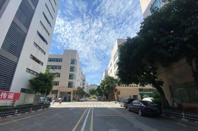 西乡九围2000平精装修原房东红本工业园区厂房低价出租