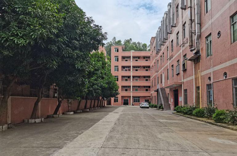 福永大工业区原房东8000平红本厂房有补贴可环评！