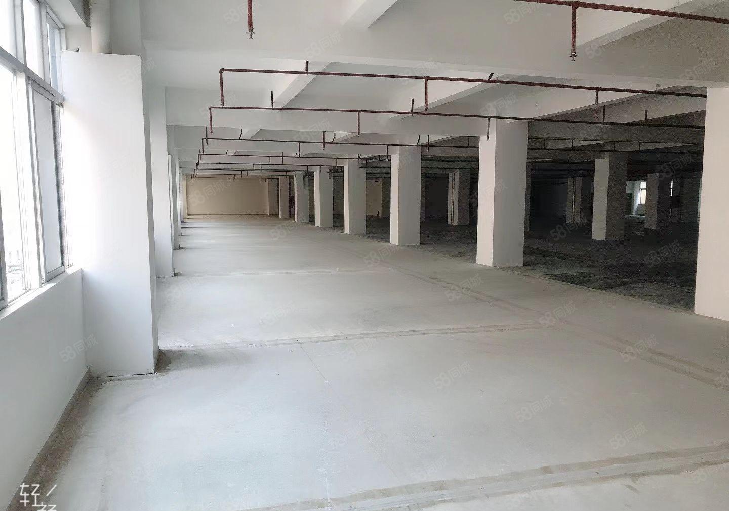 福永塘尾楼上1500平出租带全新地坪漆可分租可整租园区交通方