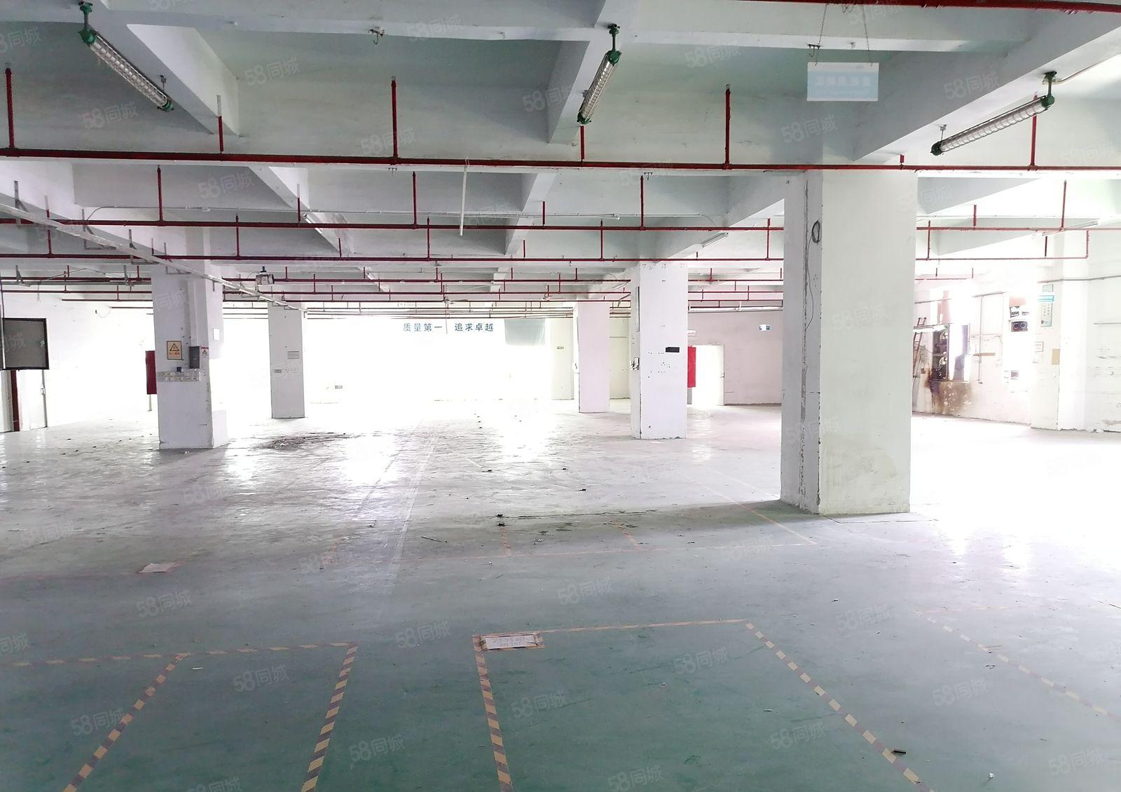 后亭地铁口1300平工贸科技园厂房出租