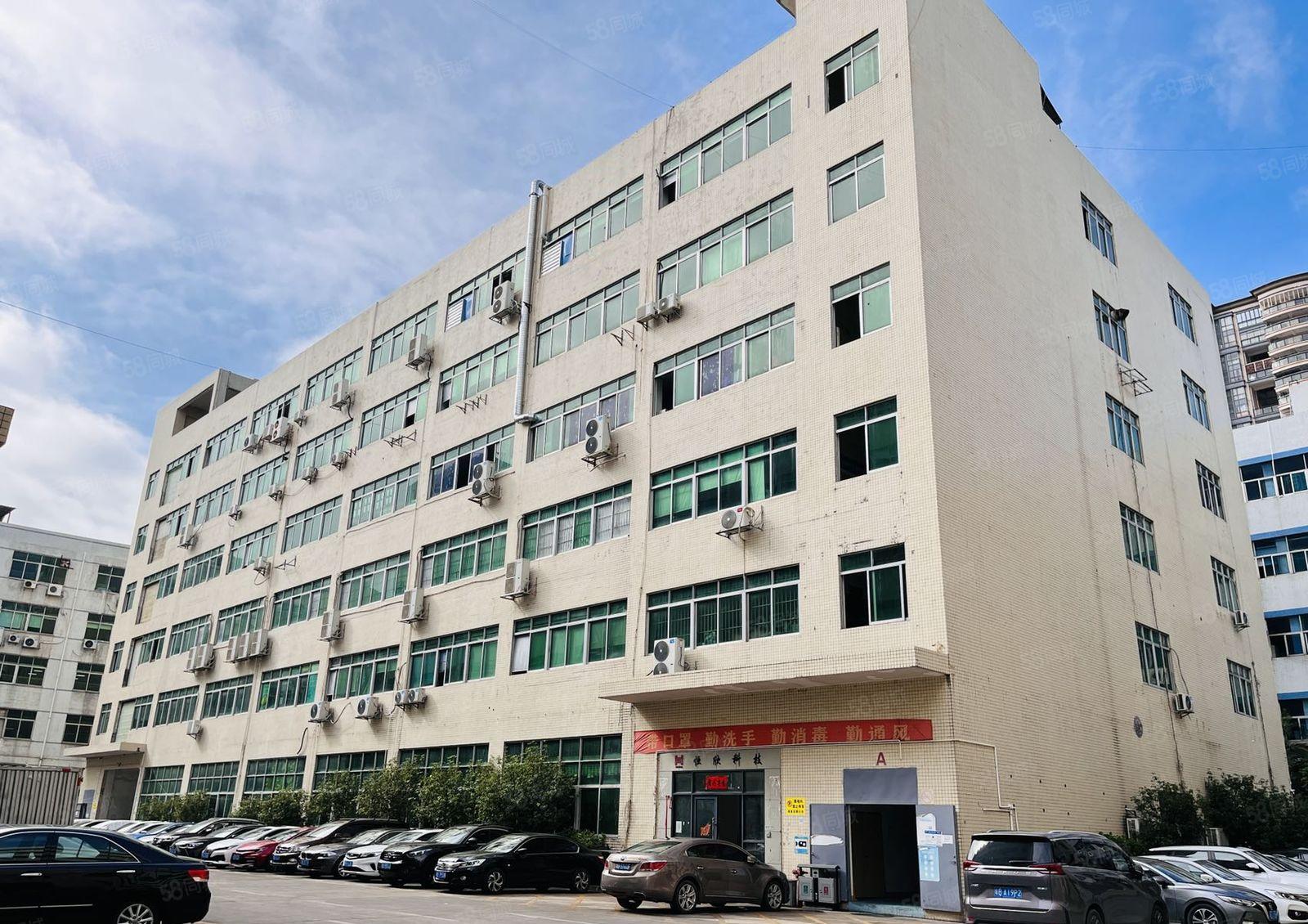 石岩塘头厂房出租1000到2400平带装修无尘车间原房东