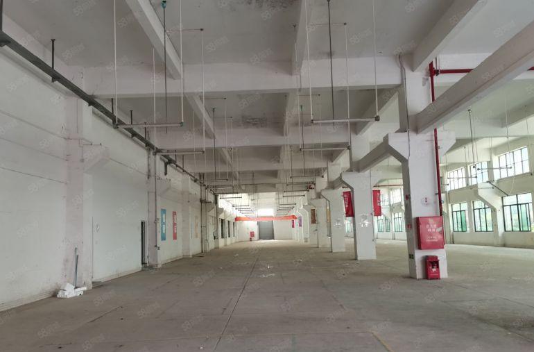 宝安西乡村委签合同.实际面积出租 生产办公电商科研展厅急租