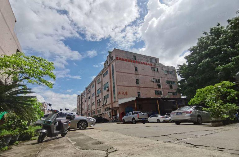 沙井黄埔楼上240平带装修一间办公室水电到位