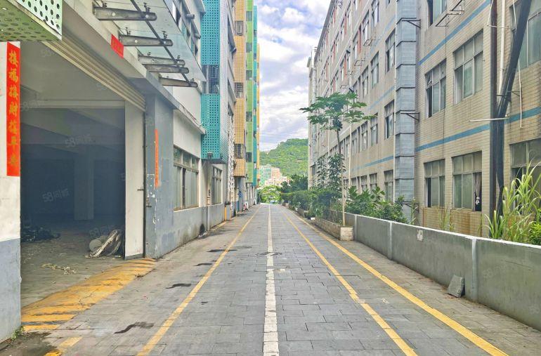 靠兴东 原房东一楼1300平方，租52元平方