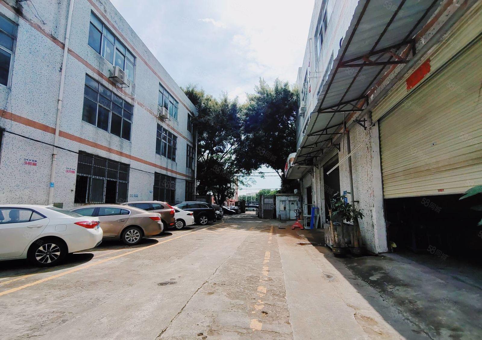 福永白石厦一楼300平厂房仓库出租精装修办公室 周边配套齐全