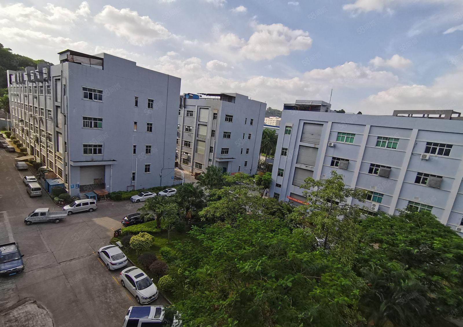 用电量大电按需.宝安福永2000平厂房仓库出租可装峰谷平电表