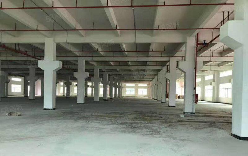 福永怀德翠岗原房东无公摊独院标准厂房5万招租大小可分