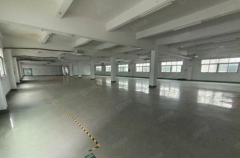 松岗罗田高速口独院二楼实面积1000平厂房出租送10部天花机