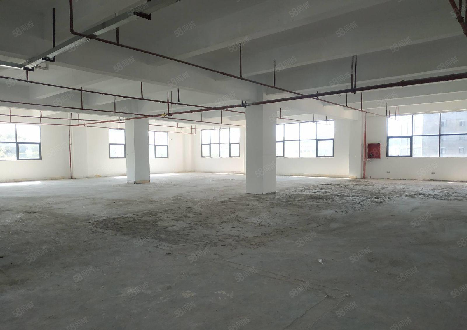 36元 兴东地铁口 独院800平办公厂房直租