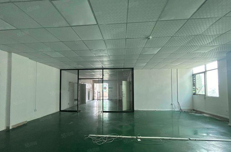 新安600平厂房出租仓库出租可分租低价出租实际面积无公摊