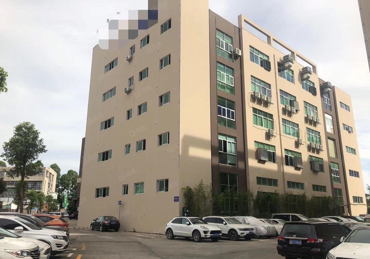 石岩塘头高速出口原房东厂房出租1240平米