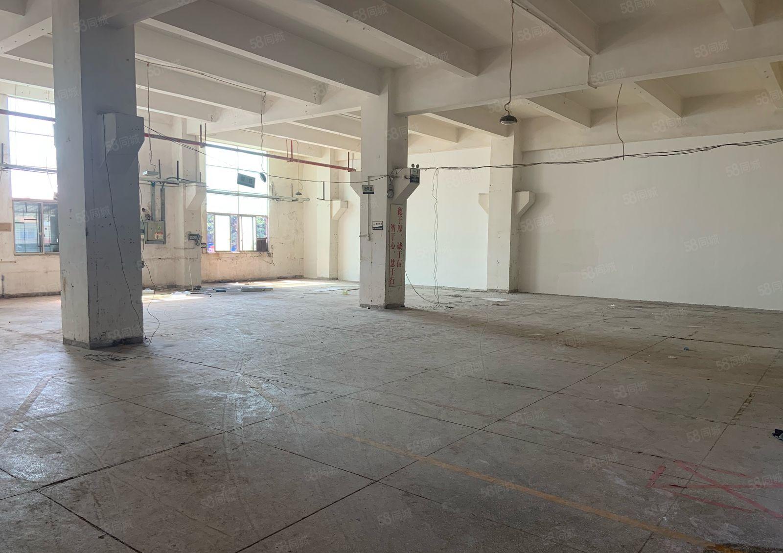 石岩汽车站一楼层高5米高厂房带牛角.装修厂房招租