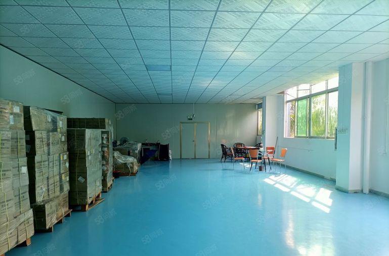 22元起沙井马鞍山整层800平精装修厂房出租仓库出租可分租