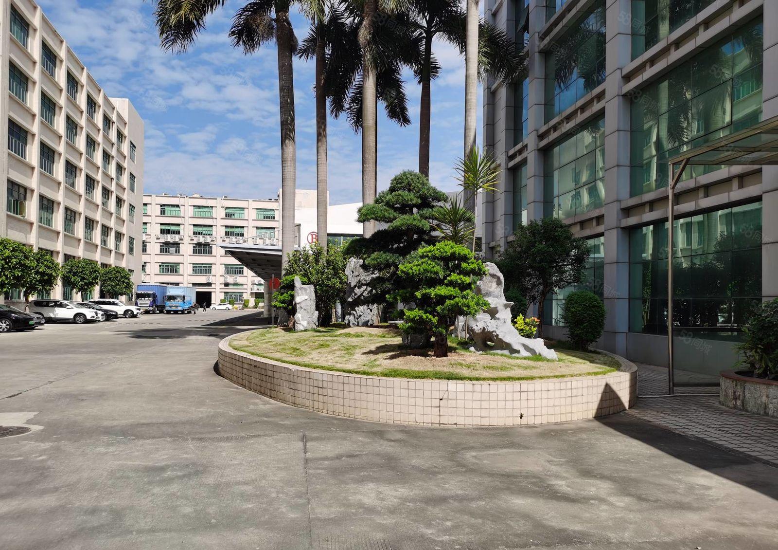 石岩原房东独门独院精装1800平办公室一楼仓库红本厂房出租