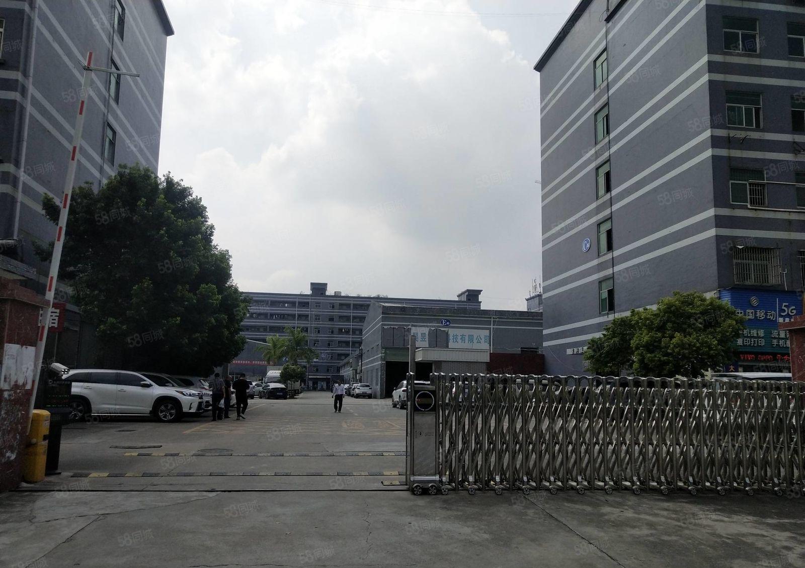 可分租石岩上屋原房东工业园精装修1000平办公室仓库厂房出租