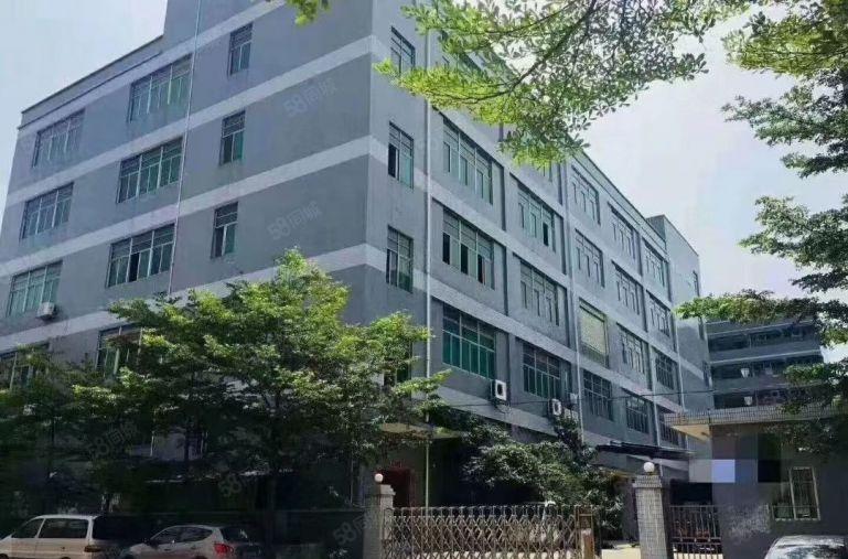 新桥高速口花园式厂房1380平米，带精装修办公室，没有转让费