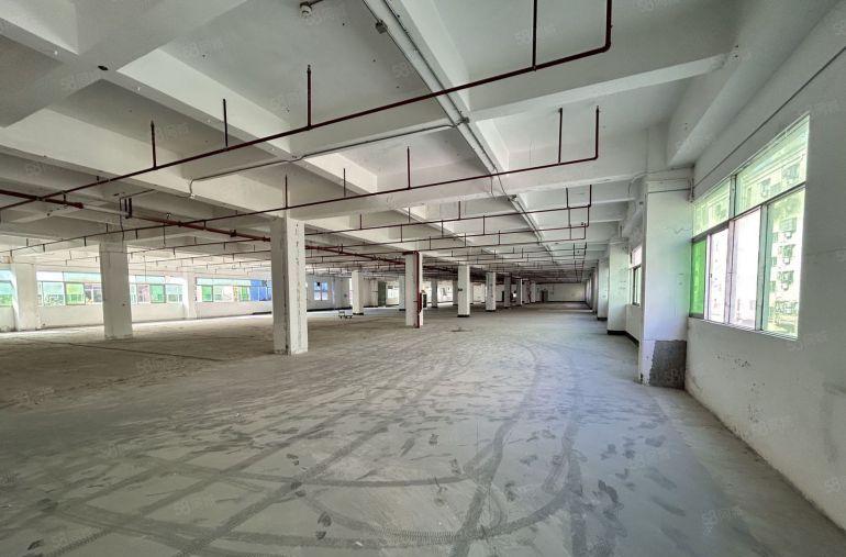 超大空地松岗107国道旁原房东一楼600平带牛角厂房仓库出租