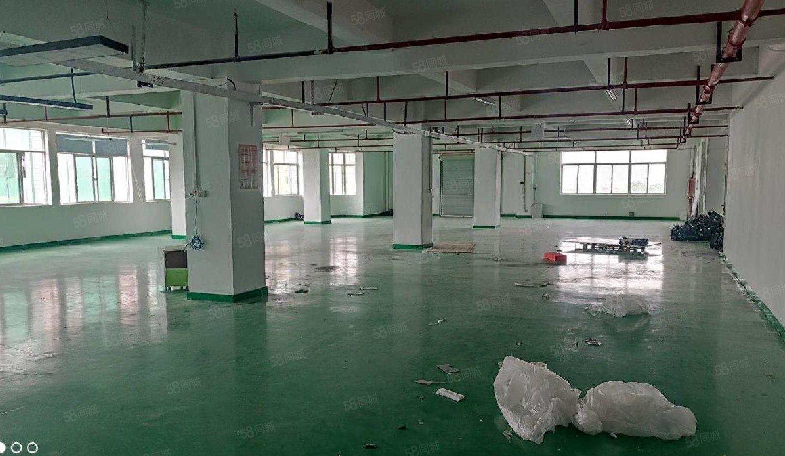 石岩龙大高速出口原房东直租整层1300平米带装修水电齐全