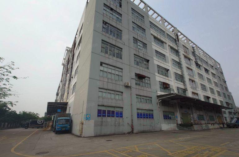 洲石路簕竹角黄麻布工业园楼上3000平厂房出租大小可分租