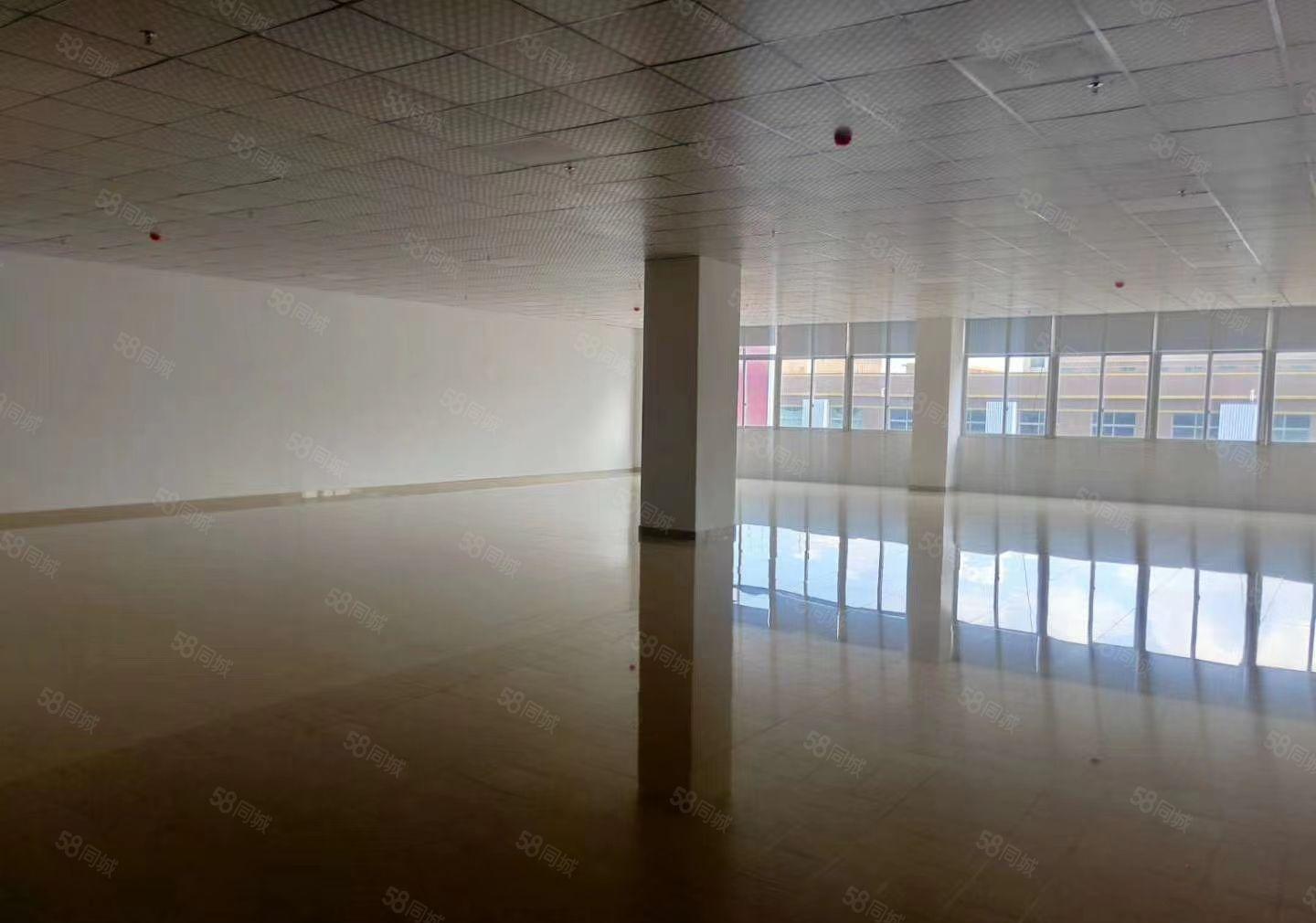 福永桥头地铁站附近楼上整层3000平厂房大小户型已分割好