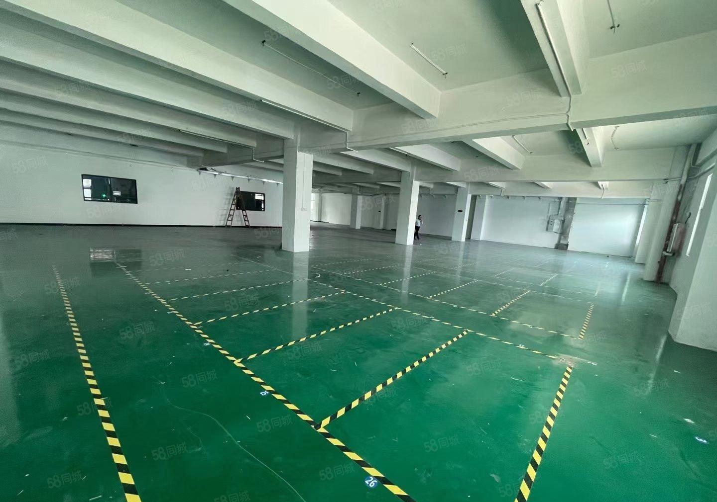 石岩石龙仔高新科技园2楼4900平精装修厂房可分租