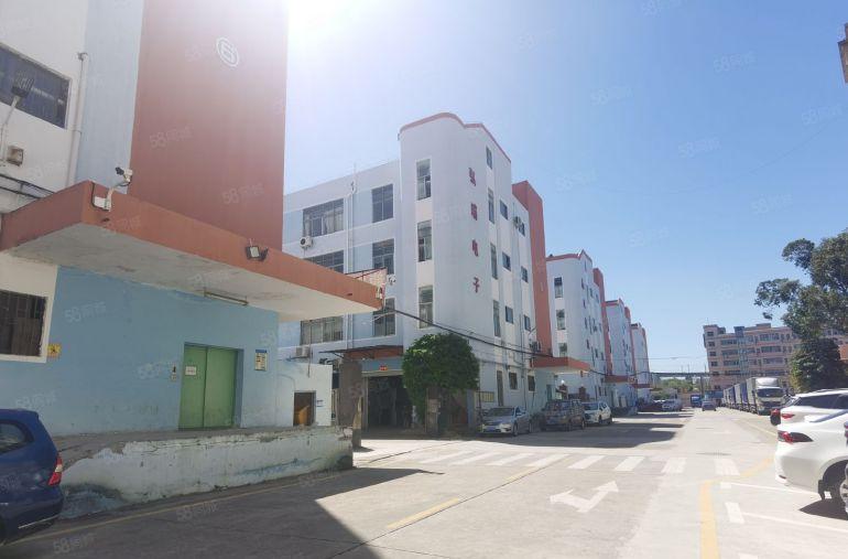 低至21元起笋盘直租石岩成熟工业区新出1000平精装厂房出租