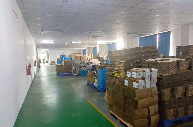 松岗107国道边一楼1200平米长房出租高度6米村委出租