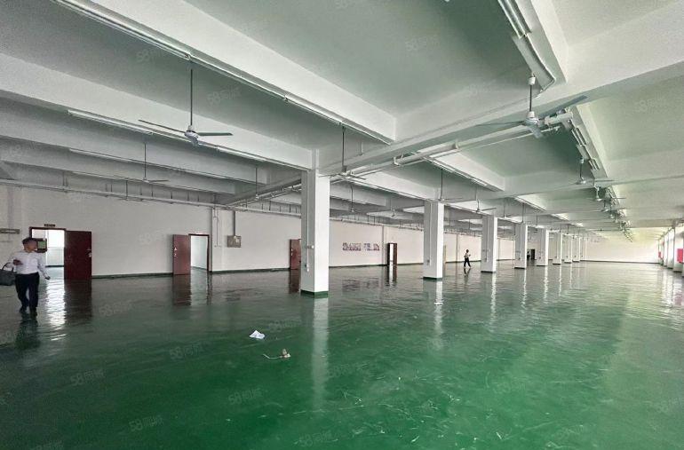 福永107国道边原房东楼上1500平米精装修红本厂房仓库出租