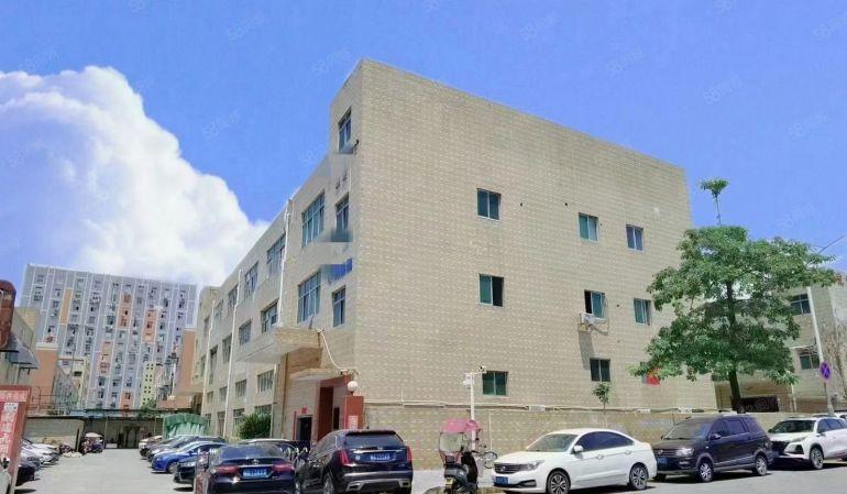 松岗独院厂房出租3层5500平米实际面积，高度6米 大小分组