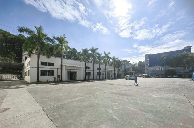 石岩应人石原房东独院红本厂房10000平方出租可分租