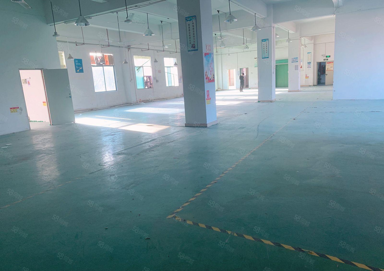 福永会展中心附近新出楼上精装修1000平厂房出租报价28可分