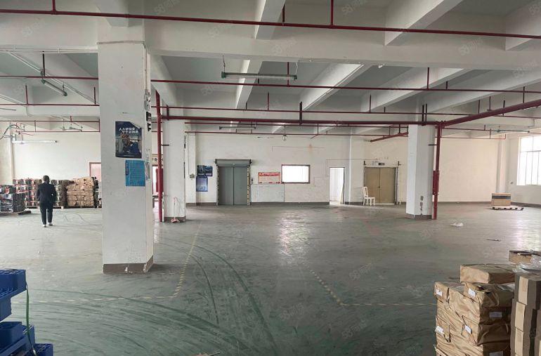 沙井东部楼上精装修厂房带办公室价格便宜停车位充足随时可约看房