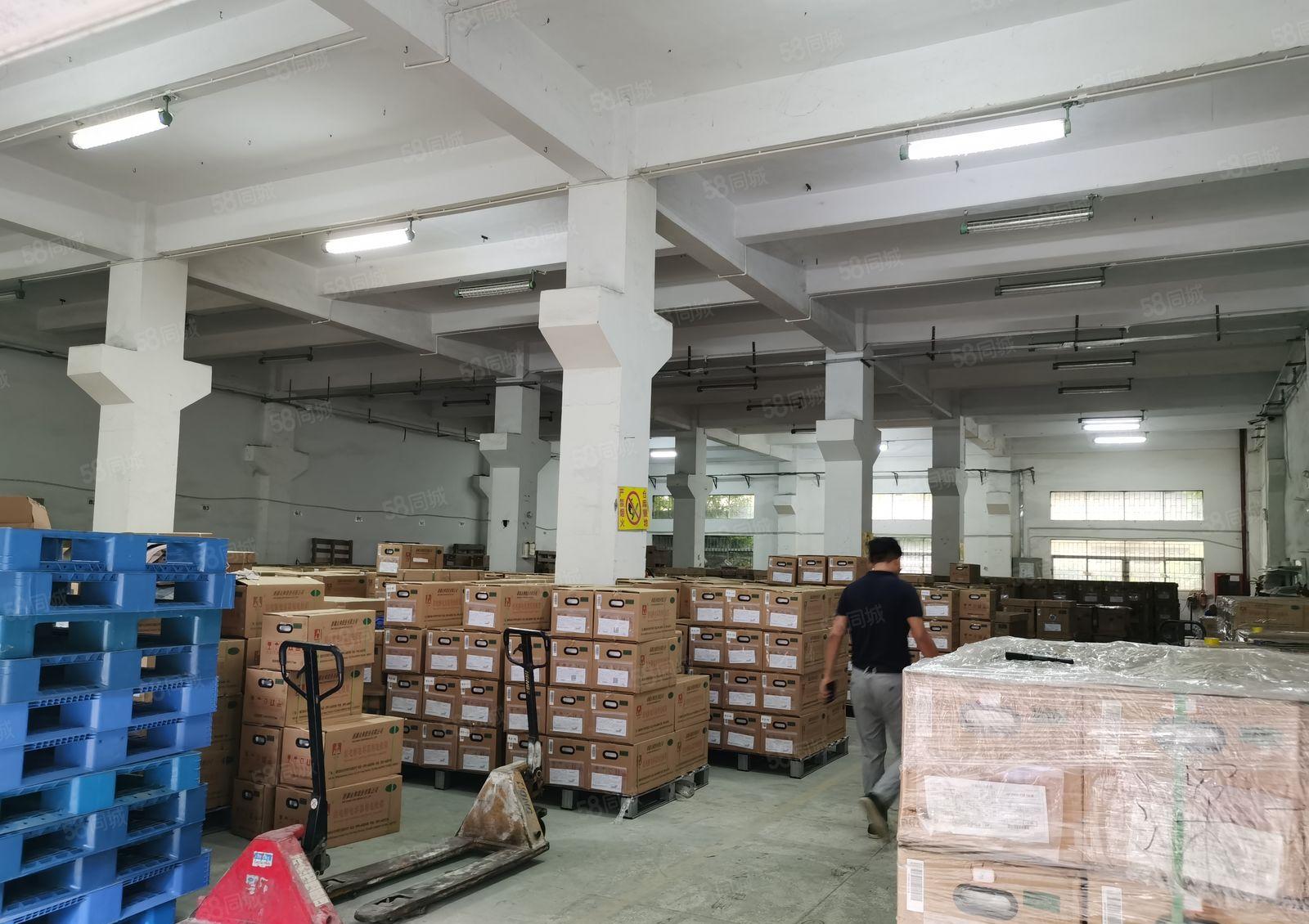 沙井新桥高速旁附近独门独院8000招租 全新出租带精装修