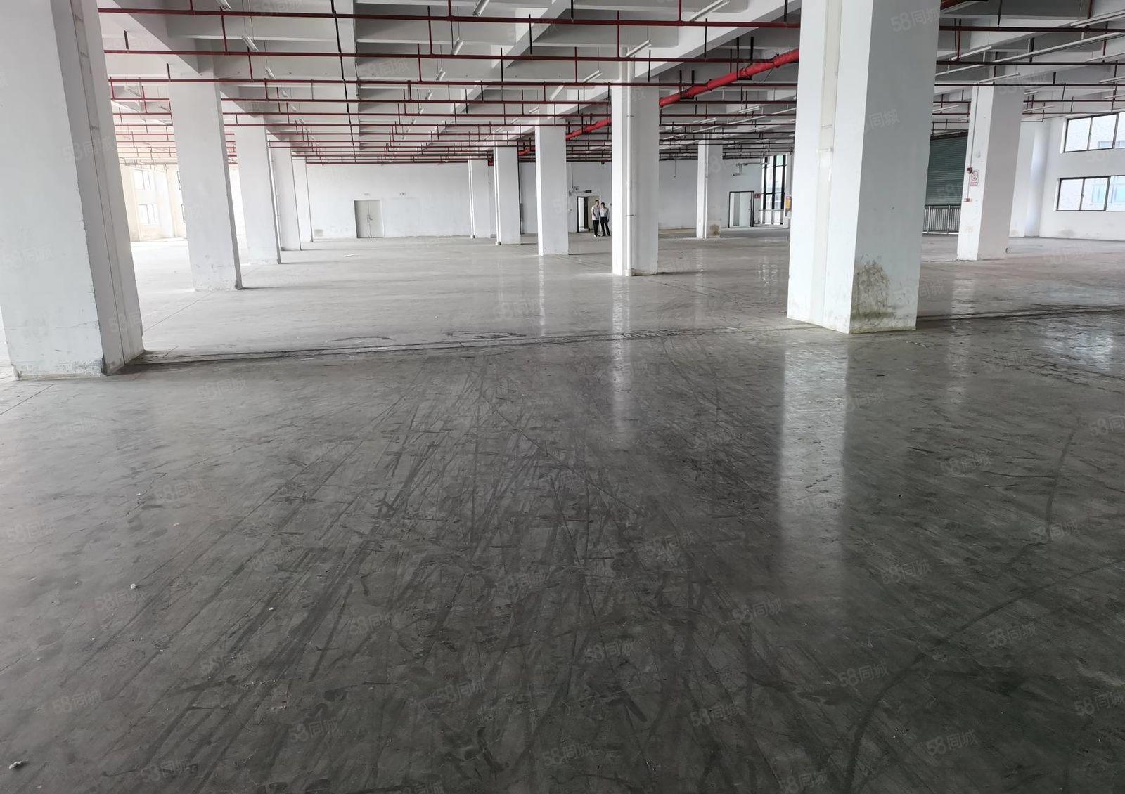 石岩原房东楼上500平至3500平低价仓库与厂房出租，形象好