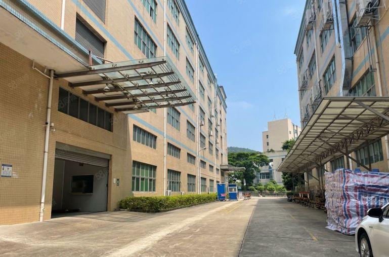 西乡桃源居2000平原房东精装修厂房仓库写字楼出租价低