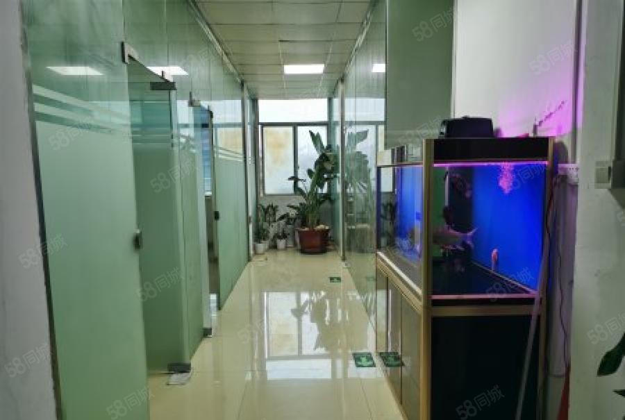 石岩水田500平原房东厂房出租，高速口附近易招工空地大形象好