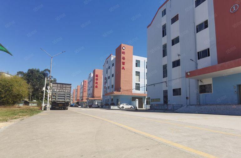 低至21元起笋盘直租石岩成熟工业区新出1000平精装厂房出租