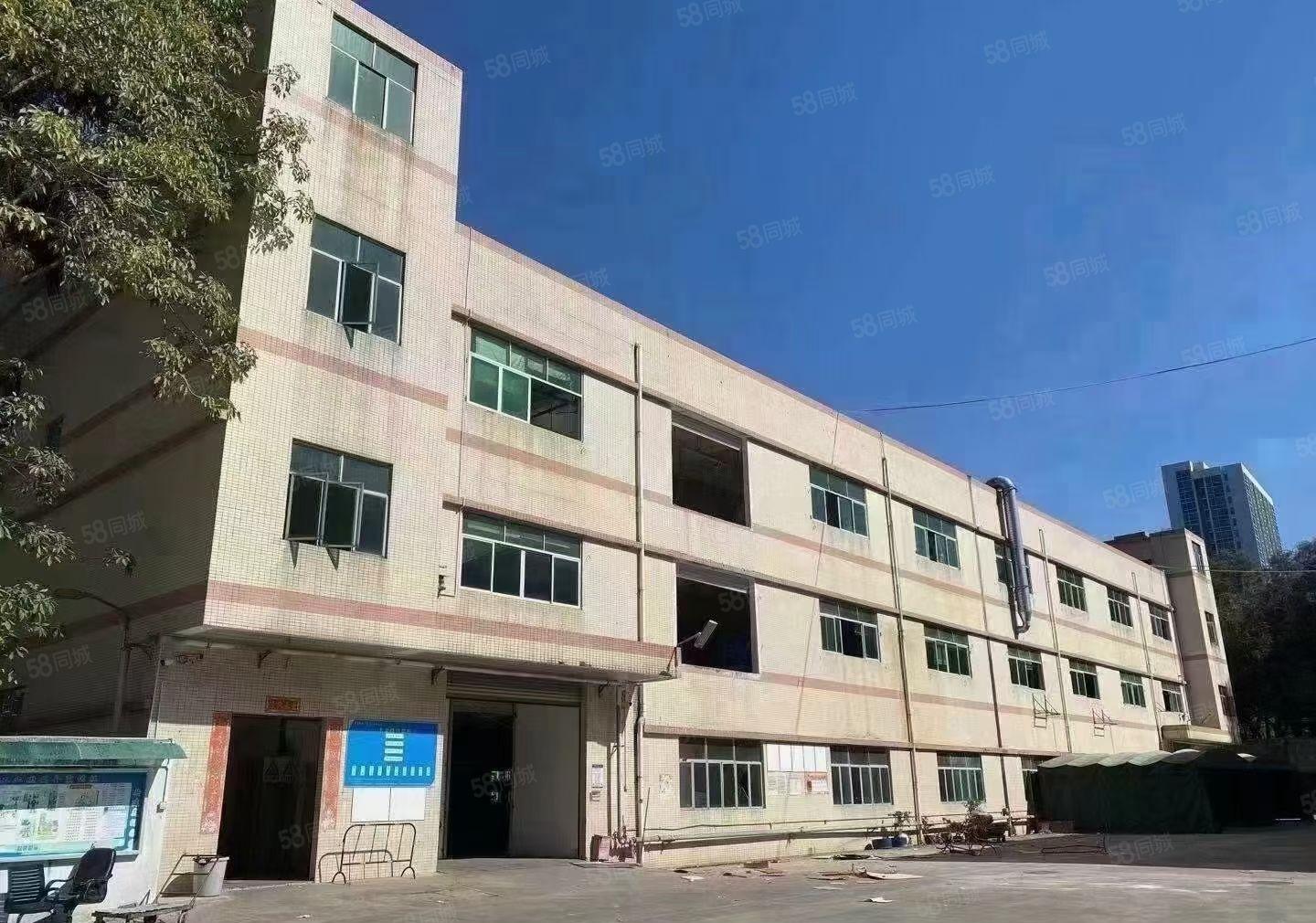 松岗东方新出独院厂房7250平方出租可分租