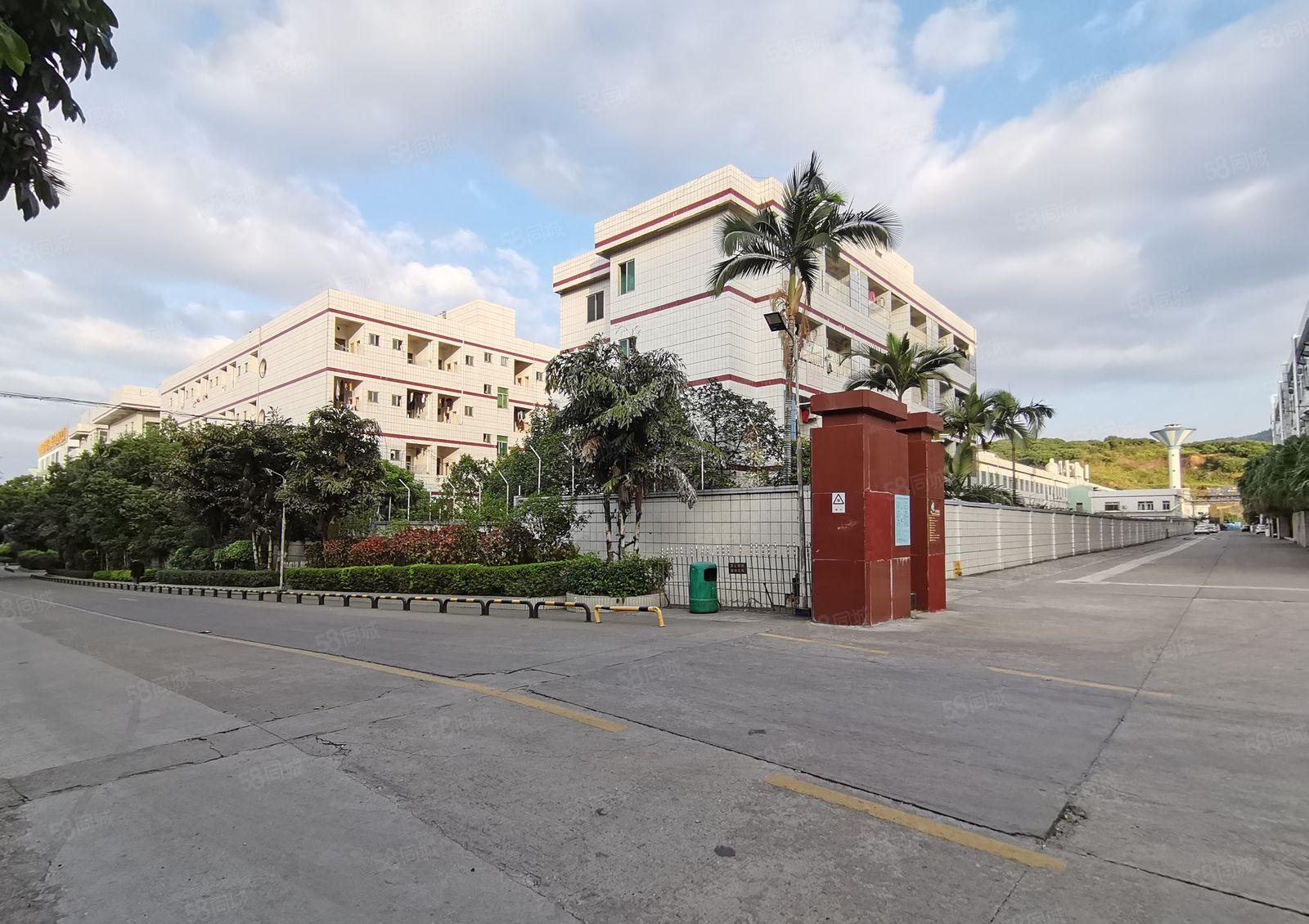 沙井后亭新出独院花园式厂房仓库出租500平起租精装修一楼二楼