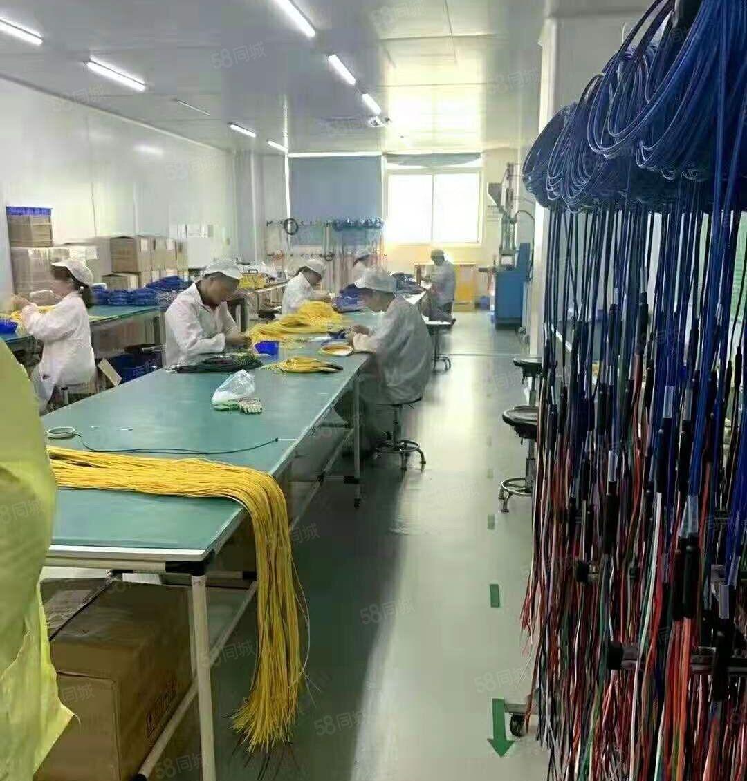 石岩塘头高速出口原房东厂房出租1240平米