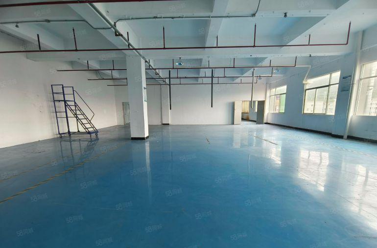 石岩白芒厂房出租独院500平起5000平方精装修电商物流仓库