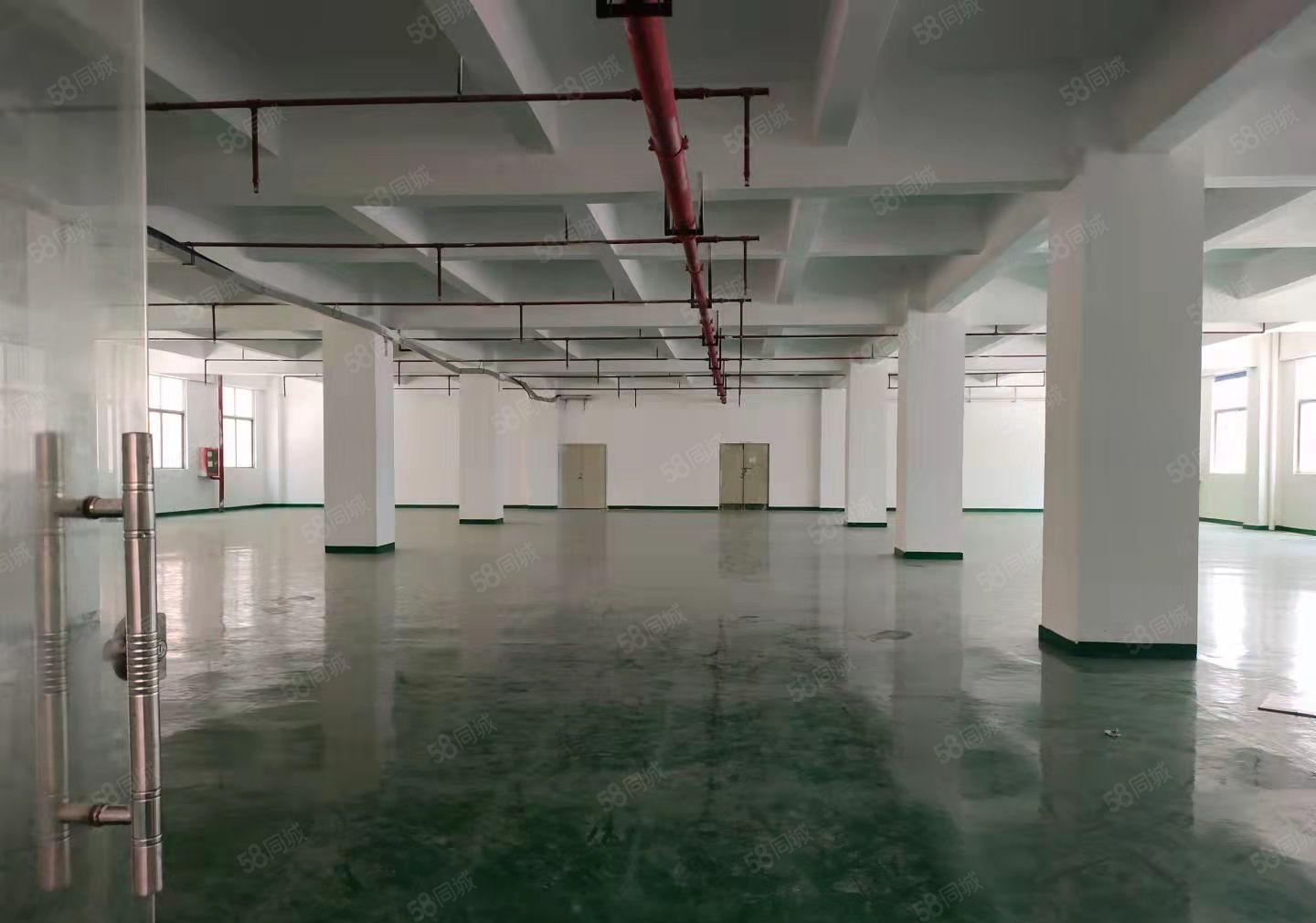 石岩石龙仔工业区 精装修厂房出租1000平可分租可整租