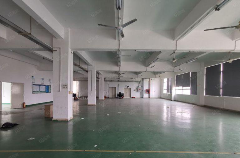 西乡兴东地铁站1400平方原房东精装修红本厂房仓库出租可分租