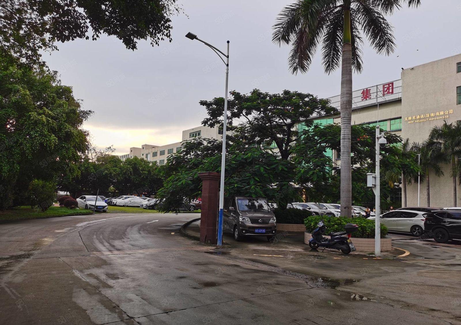 石岩应人石原房东1500平精装办公室一楼仓库厂房出租分租转租