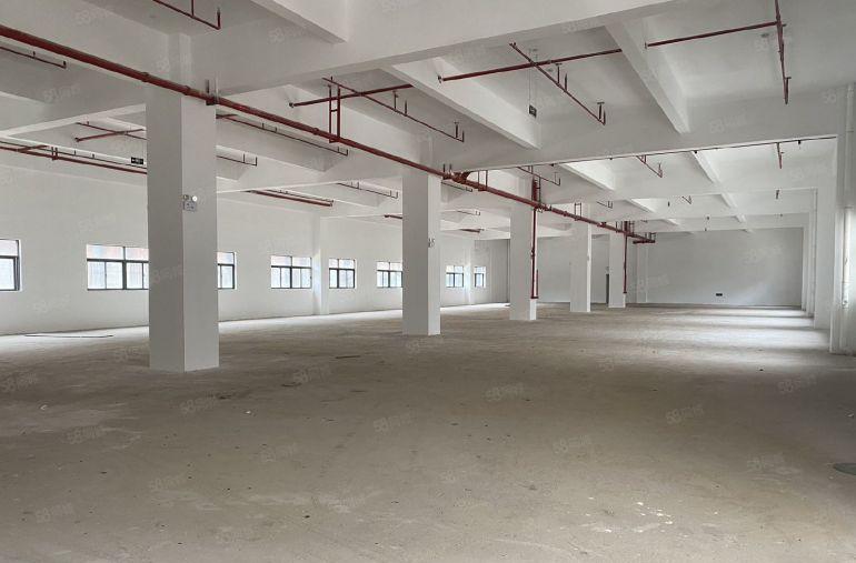 松岗原房东红本独院带卸货平台，共7栋55000平，3吨大货梯