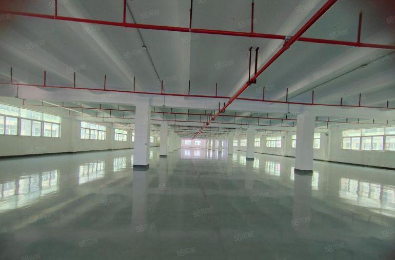 西乡固戍村委原房东高新园区2100平红本厂房出租可分租有补贴