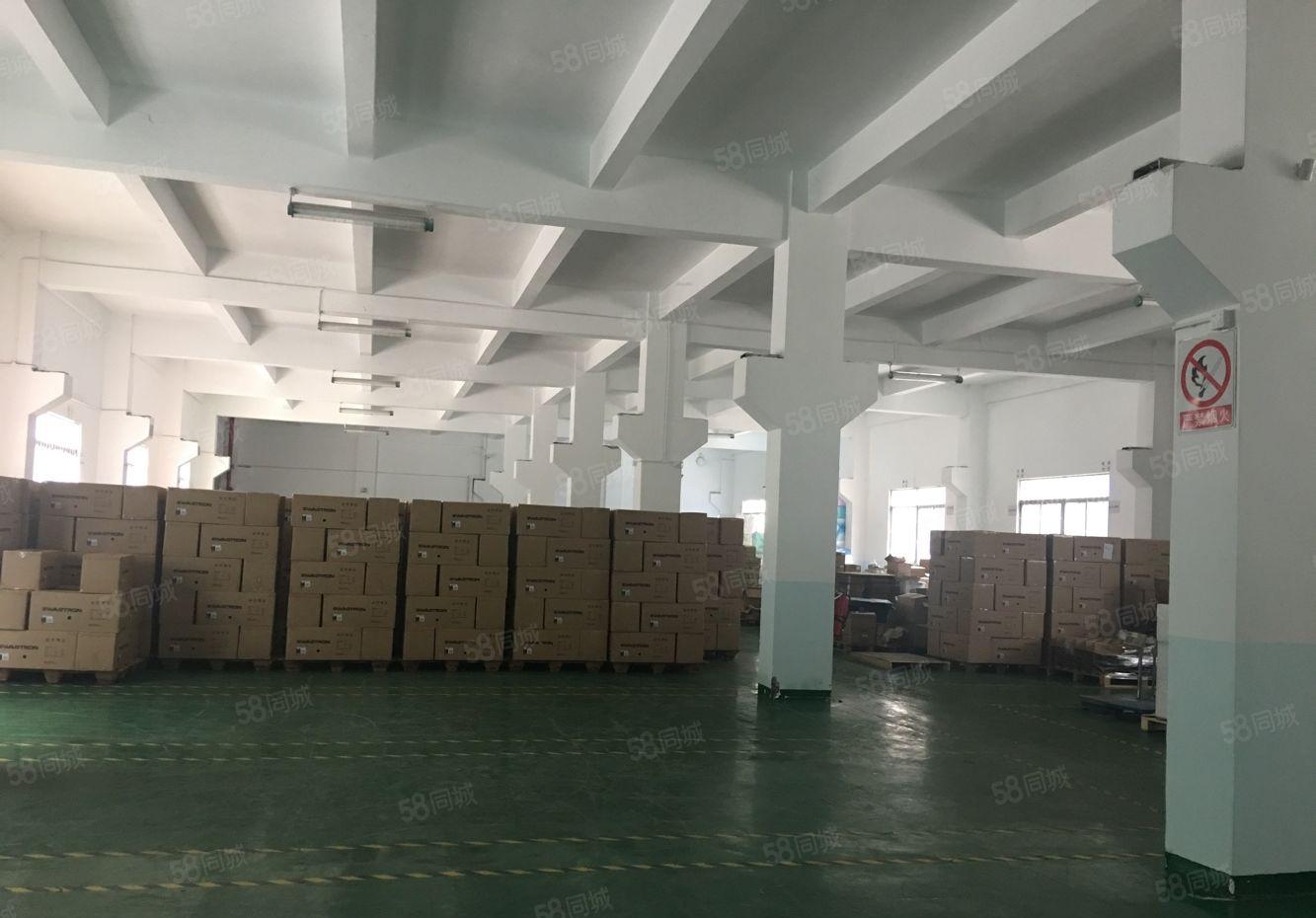 福永凤凰新出1至3层3600平米原房东独院厂房招租