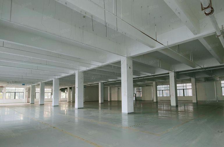 8成使用率！一楼3000平高5米1000平起租临广深高速