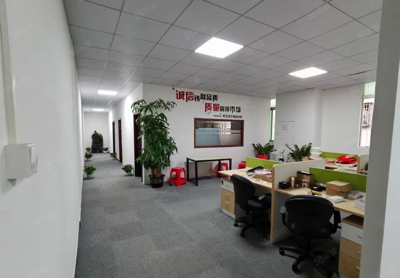 沙井原房东红本精整层装修800平米工业园区厂房出租仓库电商