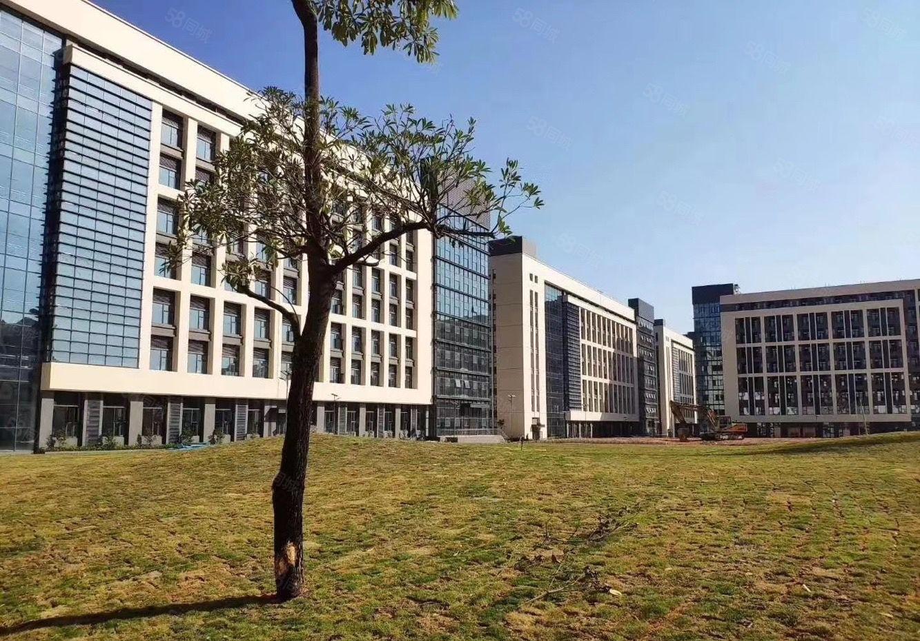 福永桥头新出原房东独门独院15000平方厂房招租